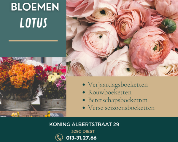 Bloemen Lotus